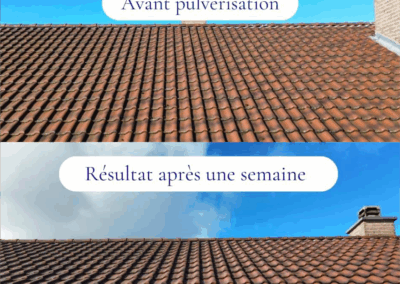 Démoussage de toiture avant après