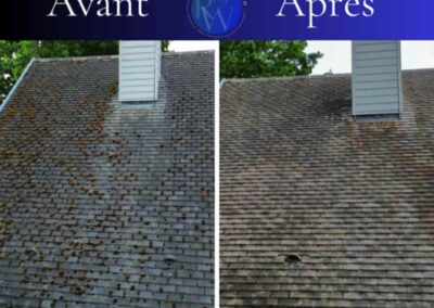 Démoussage de toiture par R-Wash