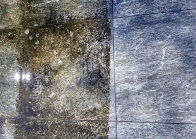 Terrasse avant et après nettoyage par R-Wash