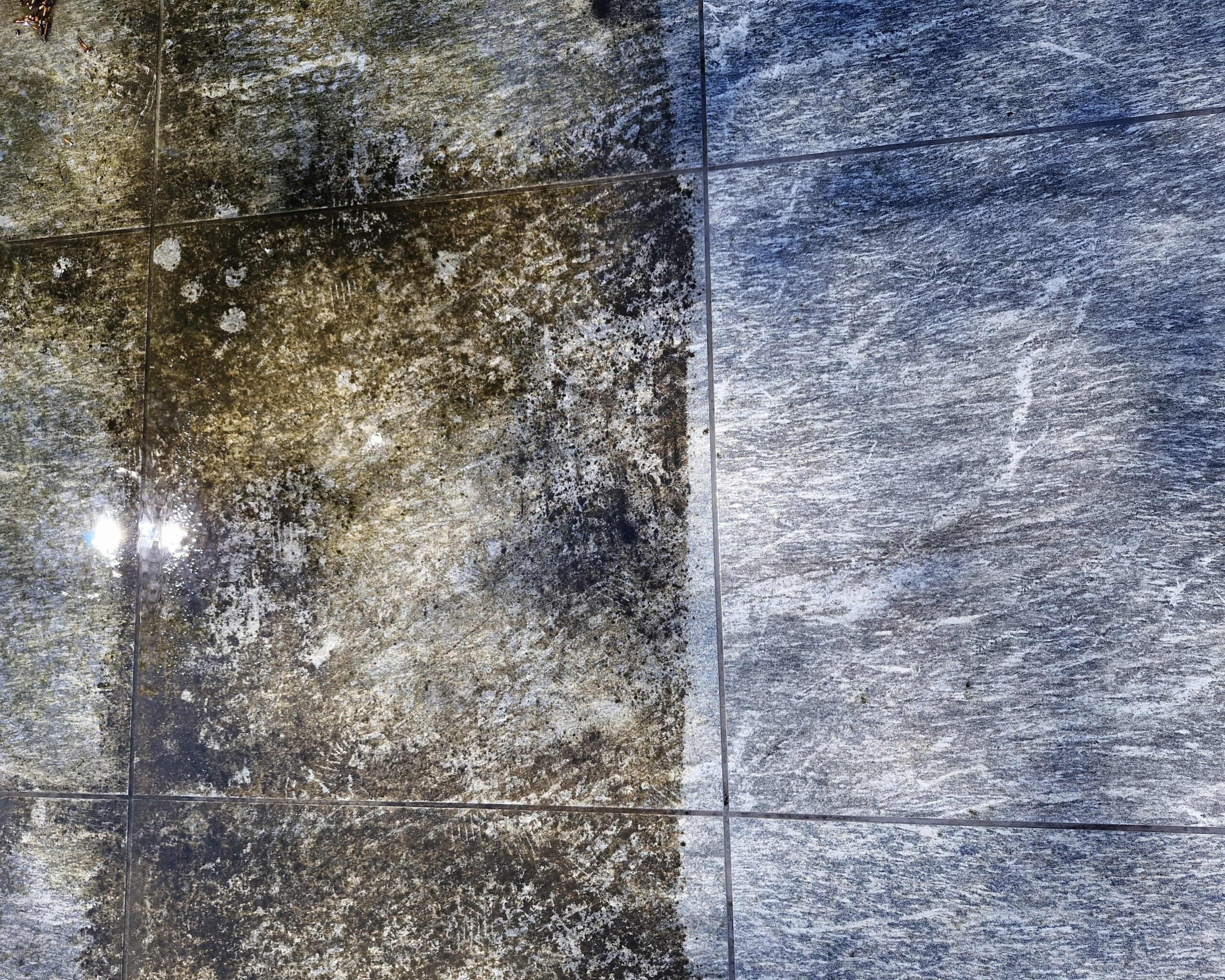 Terrasse avant après 5quart Terrasse avant et après nettoyage par R-Wash